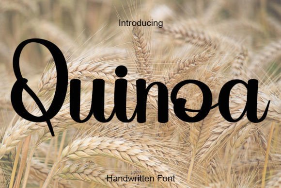 Quinoa: A Designer’s Take on This Script Amp Font for Real Projects